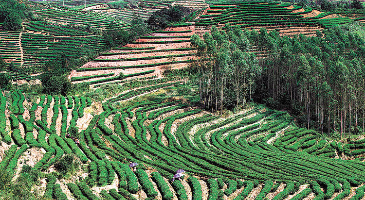 ������ƽ���ҵ���չ Ϊ���üӿ췢չע�붯��