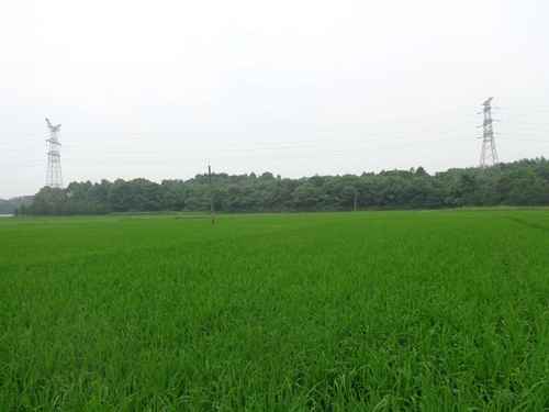 ������ˮ̲��˫����ȫ�̻�е������ģʽ����ʾ�����絾����������ʮ��ϲ��2