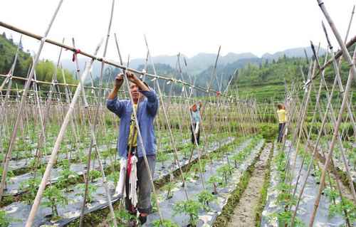 ���ϳǲ�����ץ����������������������