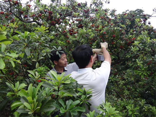 ����������ֲ��վ��չ��÷��������