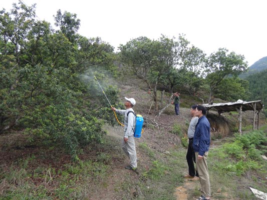 ����������ֲ��վ��չ��÷��������3