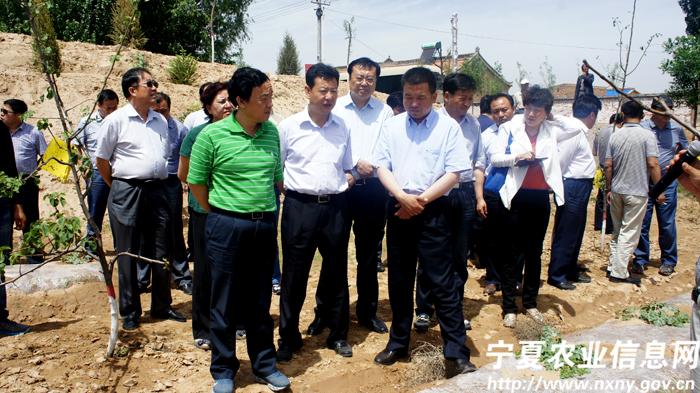 ���İѵ��ṹ�ͷ�չ��Ч��ˮũҵ�л�����ƶ��ִ�ũҵ��չ3