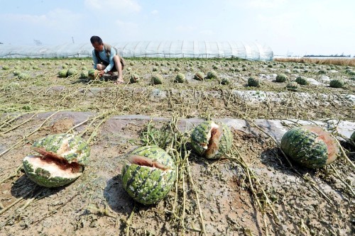 ���������Ӹ�ׯ���������Ϯ��