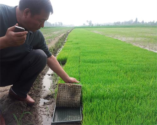 �е������������Ϊ����ʾ��