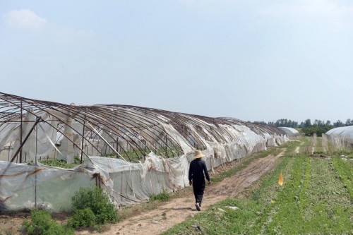 ���������Ӹ�ׯ���������Ϯ��2