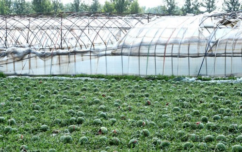 ���������Ӹ�ׯ���������Ϯ��3