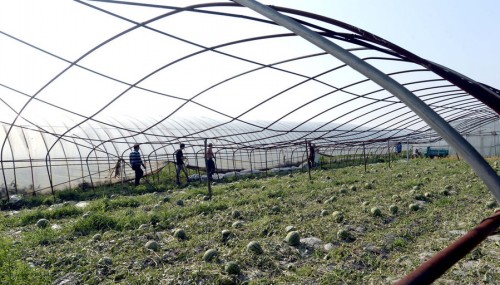 ���������Ӹ�ׯ���������Ϯ��5