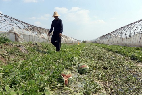 ���������Ӹ�ׯ���������Ϯ��6