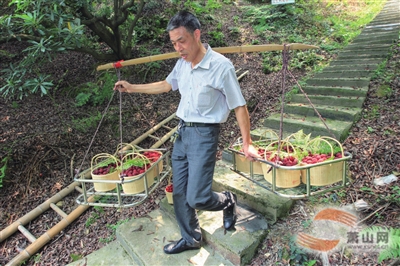 �㽭������ɽ��÷��ɽ���ժ����ƽ���