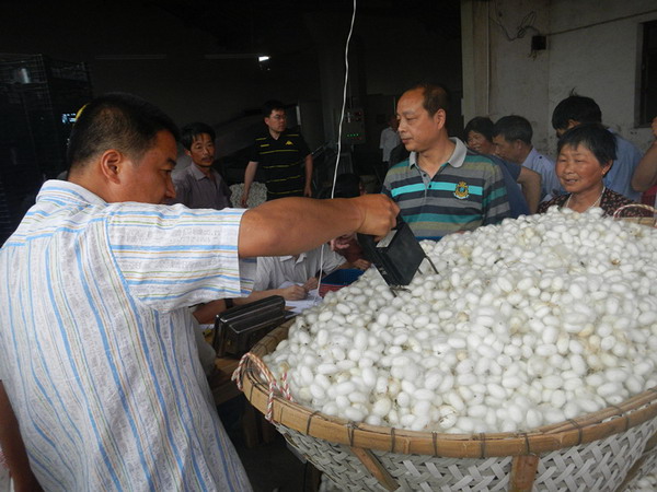 �㽭�����вϼ��չ������ۼ��Ե������Ч