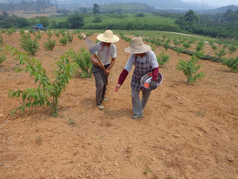 �㽭���˿�����������չ��������