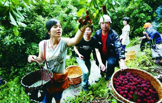 �㽭��÷����Ԥ������9.8% �����ڽϳ��������һ��