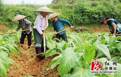 ���ϱ�����ˮ��忾�̴󻧳���æ