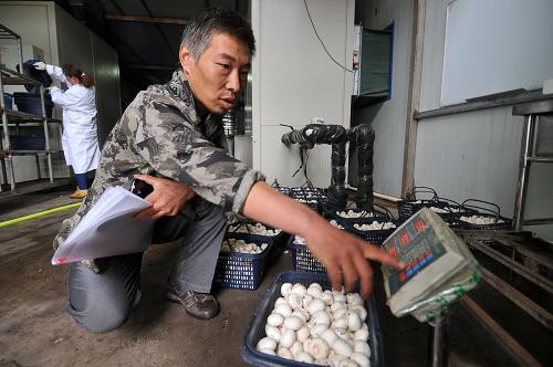 ɽ��ɽ���أ��ո��Ǹ����ۺ�����Ч���