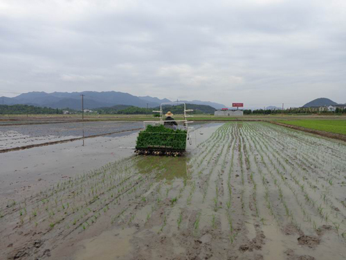 �㽭���˿�����������������������Ļ