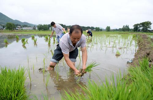 ���������أ��ֺ�ˮ������æ