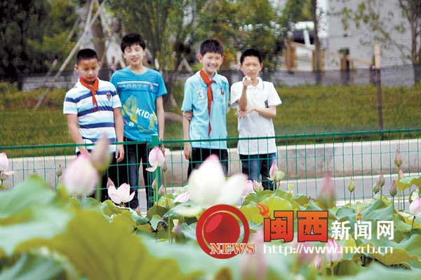 �����Ϻ����������ɻ�ʢ��