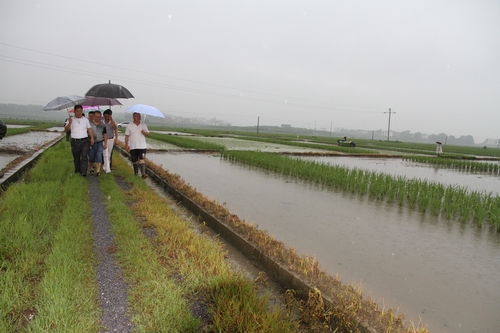 С�������������-----���������ȫ�̻�е�����ֹ�ģ������׼��