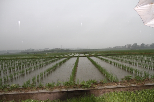 С�������������-----���������ȫ�̻�е�����ֹ�ģ������׼��2