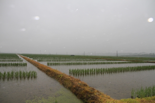 С�������������-----���������ȫ�̻�е�����ֹ�ģ������׼��3