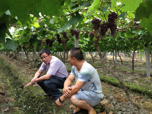 2014���㽭�������ѷ�������