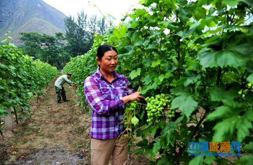 �������أ�������� ��ҵ����