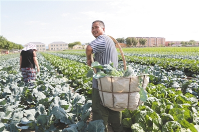 ���������л�ũҵ�Ŀ�ׯ���