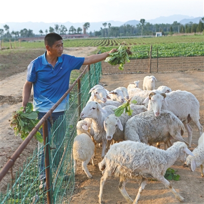 �����ι��