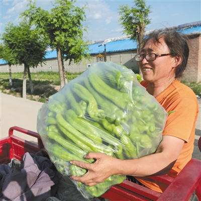 �л�����