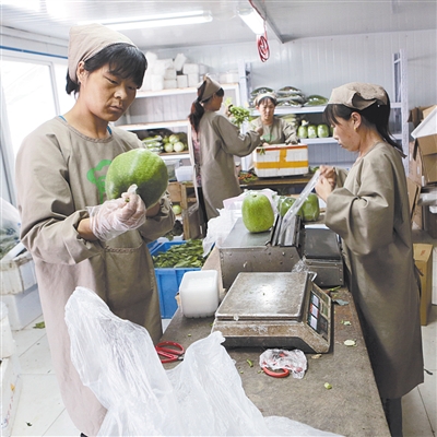 Ϊ�߲�����ɫ��ǩ