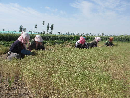 �����̨���޳���4300��Ķ������Ȼ�����