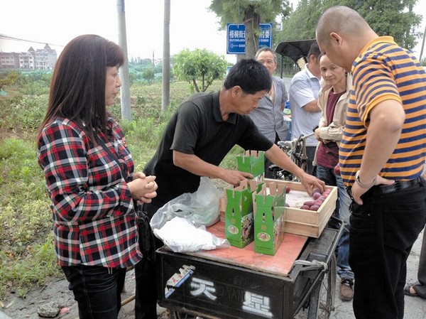 �㽭ͩ�磺�ײ������ѵǳ������겻��Ѱ��·