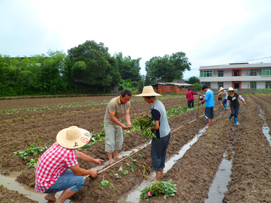 ����������Ժ��������ٸ�����ҵ��չ