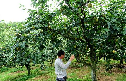 ������������ũϲ�շ��