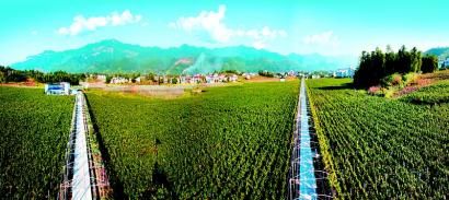 ��ϣ������Ұ�����Ĵ�����ũҵƷ��