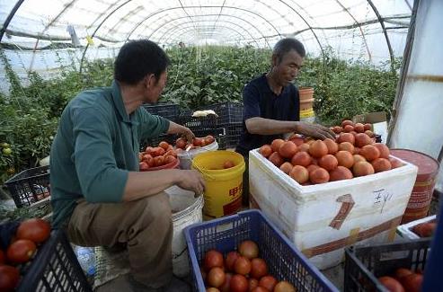 ����ػ͡�����ũҵ������Ч