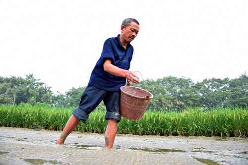 ����˫���ؾ�������������ͻ��2.4��Ķ