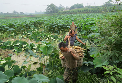 �Ĵ�üɽ��������ź����ϲ��ͷ