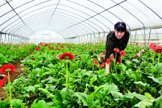 ���ݹ����ڵ������ܲ�ҵ��Ȼ���� �������������������г�