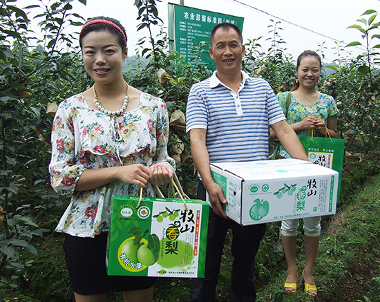 �Ĵ�˫��ʤ��300Ķ�л�������