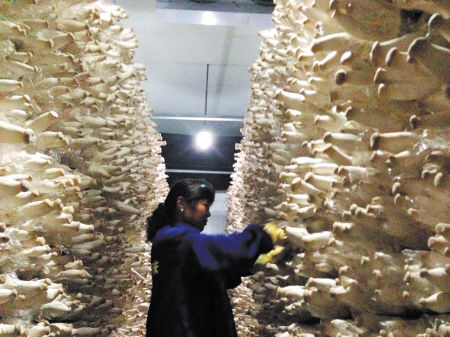 ����ʳ�þ����빤����ʱ��