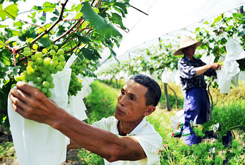 ���������ס�ס����