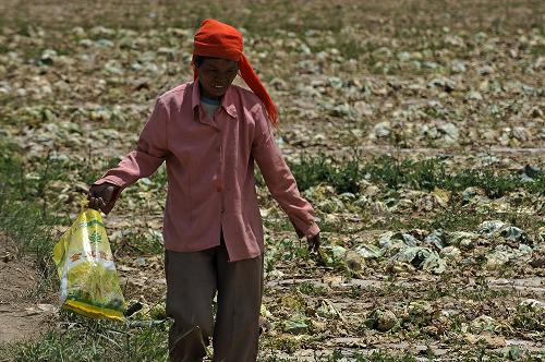 7��2�գ������ĺ����س�������ʮ���壬����Ӹ��õ������˲˵��о�����