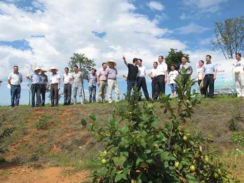 ����������ȫ��֮���ƽ�ũҵ�����ֺ��ֿ췢չ2