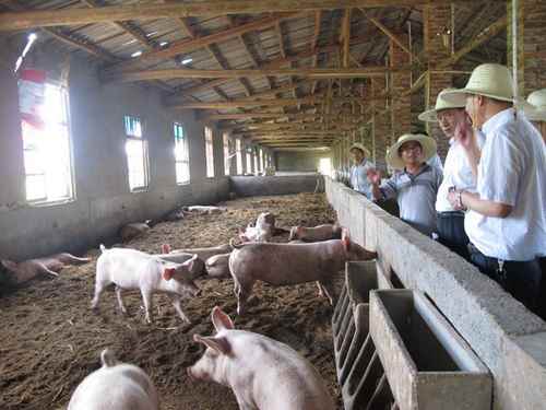 ����������ȫ��֮���ƽ�ũҵ�����ֺ��ֿ췢չ3