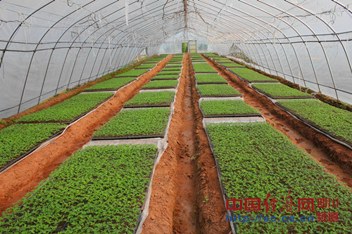 ������Ҽ�ũҵ԰�����Ĵ��ڽ���ɽ���조ũҵ��ҵ����