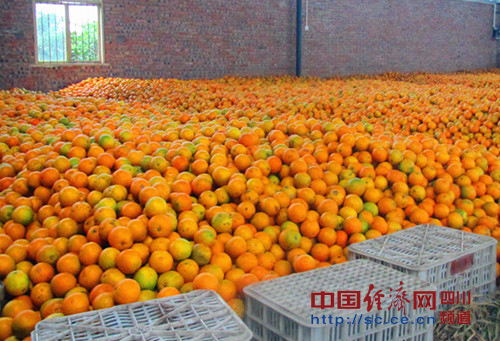 ����������ز����޿�Ѫ�ȣ���ɽ���ṩ��