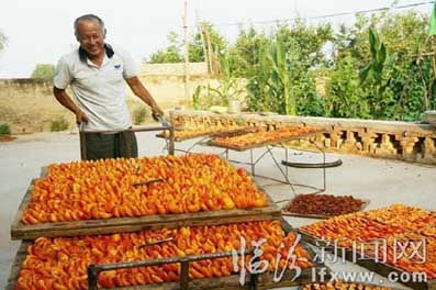 ɽ��������Ƥ�ǿ� ��ɳ�ǡ��Ӹ����ɴ��ҵ