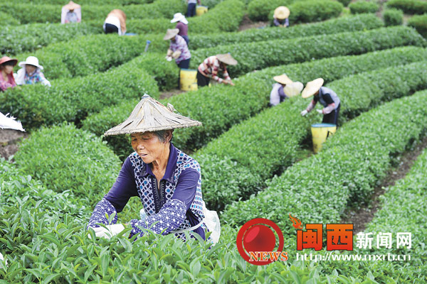 ������ƽ̨��԰�����Ĳ����Ԥ�ƿɴ�300��