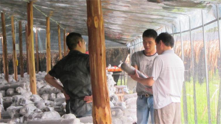 ������Ϫ��12316ר��Ϊ��ũ���֧��